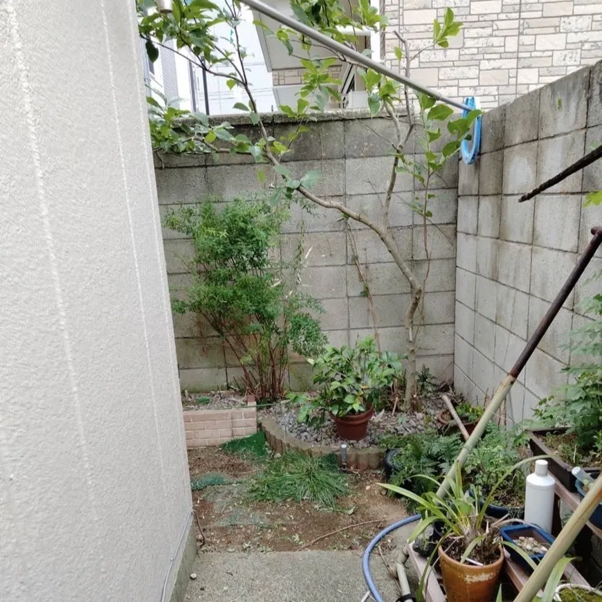 アフター1