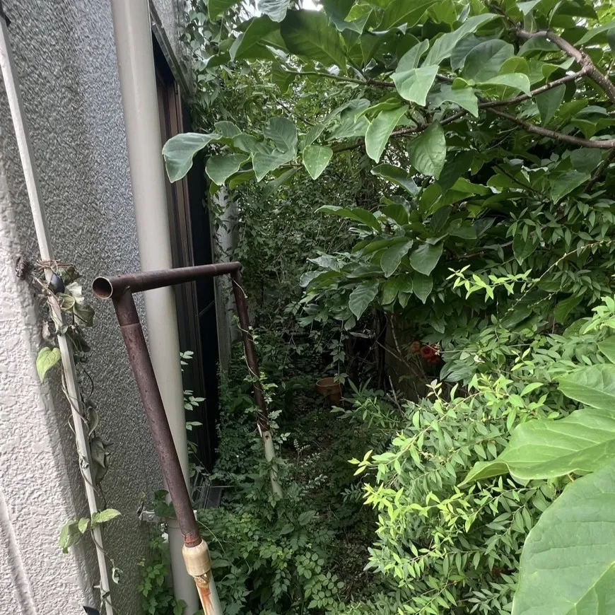 ビフォー1